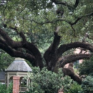 Meet your Posher, Patty